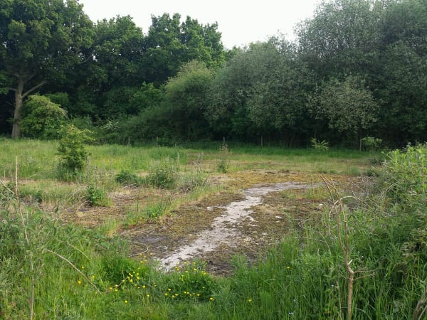 Contaminated Land Survey 1 Contaminated Land Surveys